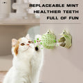 Cat rubbing against a green self-grooming brush