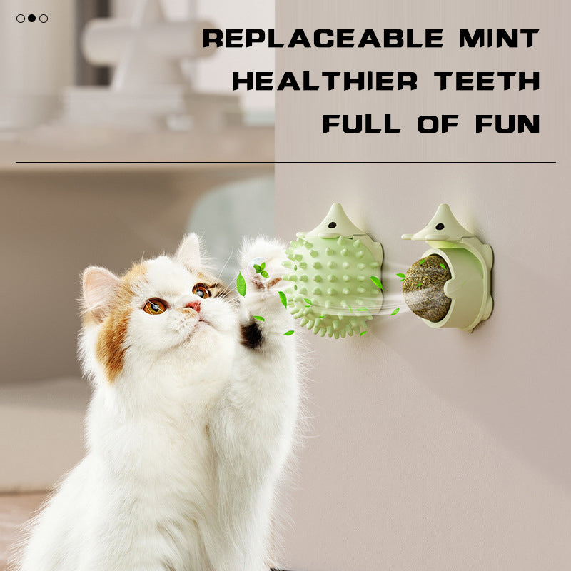 Cat rubbing against a green self-grooming brush