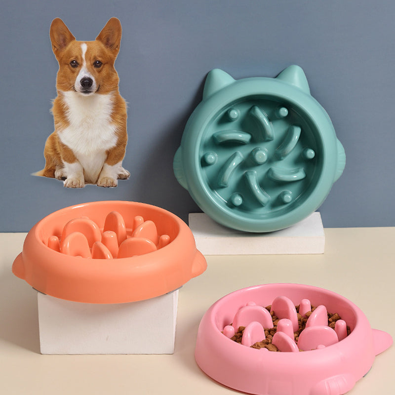 Three colourful slow feeder dog bowls with a corgi