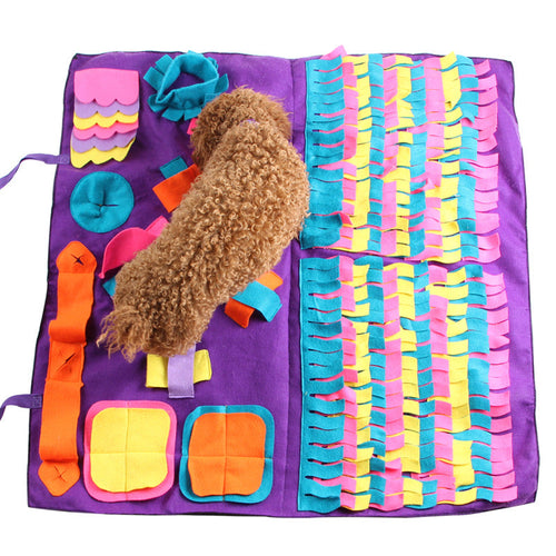 Dog sniffing pad