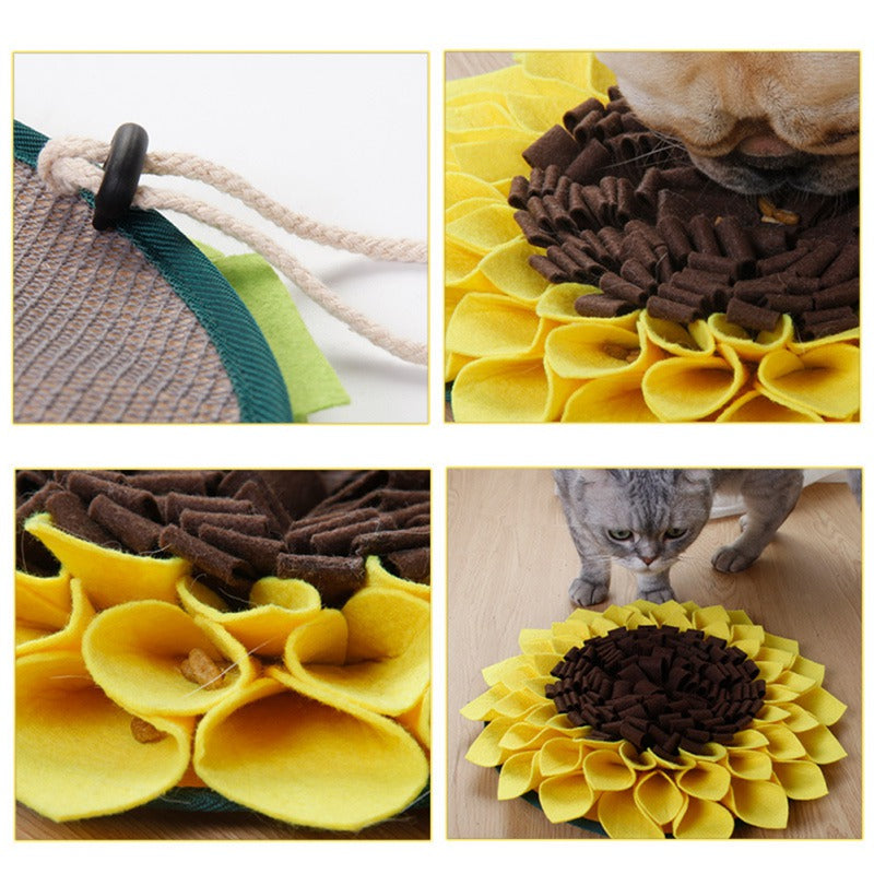 Cat exploring a sunflower-shaped pet snuffle mat