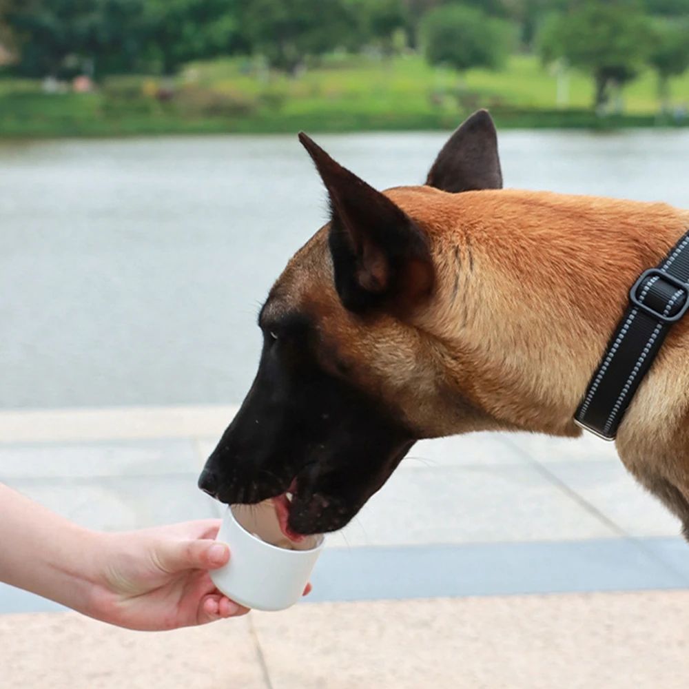 Dog drinking outdoors from a handheld 3-in-1 travel water bottle