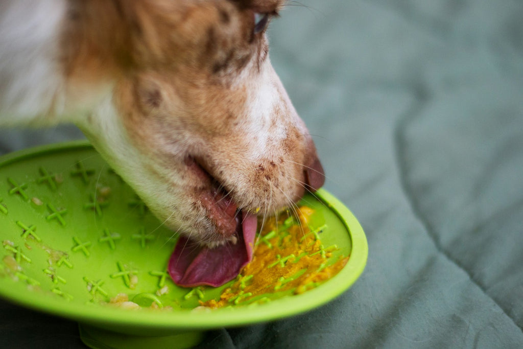 Dog licking food from a textured silicone lick mat